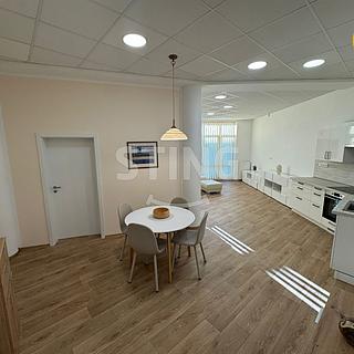 Pronájem bytu 3+kk 118 m² Frýdek-Místek