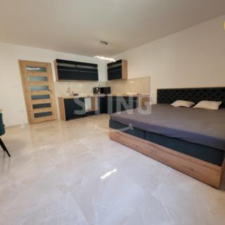Pronájem bytu 1+kk a garsoniéry 41 m² Ostrava Nová Ves, Na Lánech