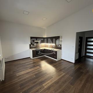 Pronájem bytu 2+kk 52 m² Opava Předměstí, Hviezdoslavova