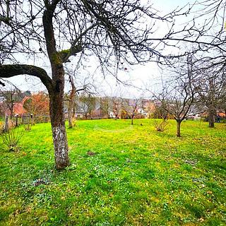 Prodej zahrady 1169 m&sup2; Dolní Nětčice