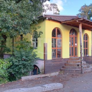 Prodej obchodu 100 m² Vranovská Ves