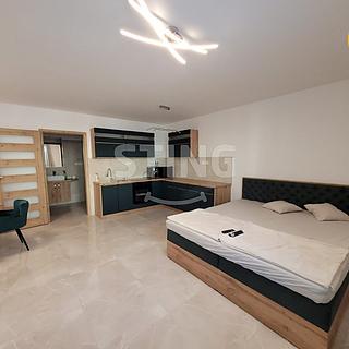 Pronájem bytu 1+kk a garsoniéry 41 m² Ostrava Nová Ves, Na Lánech