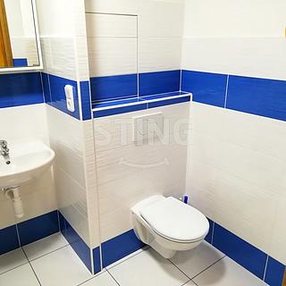 Pronájem bytu 1+1 39 m² Přerov I-Město, U Tenisu