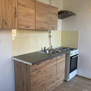 Pronájem bytu 1+1 36 m² Opava Předměstí, Polanova