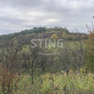 Prodej ostatního pozemku 4 839 m² Koryčany Blišice