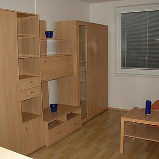 Pronájem bytu 1+kk a garsoniéry 30 m² Hradec Králové Nový, Selicharova