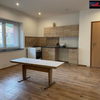 Pronájem bytu 2+kk 55 m² Doksy Staré Splavy, Pod Borným