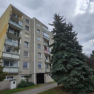 Pronájem bytu 2+kk 44 m&sup2; Hradec Králové