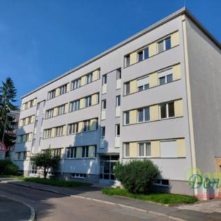 Pronájem bytu 2+1 47 m² Hradec Králové Pražské Předměstí, V Koutech