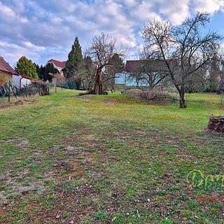 Pronájem zahrady 1000 m&sup2; Praha