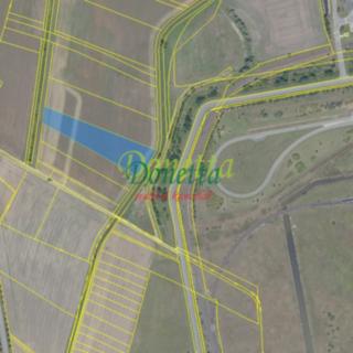 Prodej zemědělské půdy 8 644 m² Ovčáry