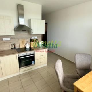 Pronájem bytu 1+1 42 m² Hradec Králové Nový, třída Edvarda Beneše