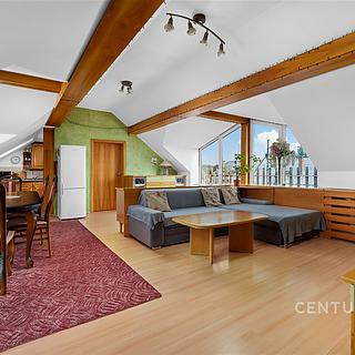 Prodej bytu 3+kk 127 m² Čelechovice na Hané, Ruská