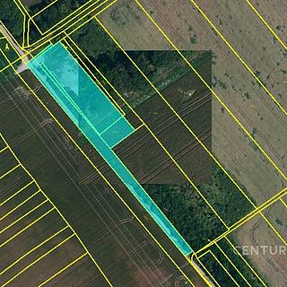 Prodej zemědělské půdy 10 318 m² Hrušky