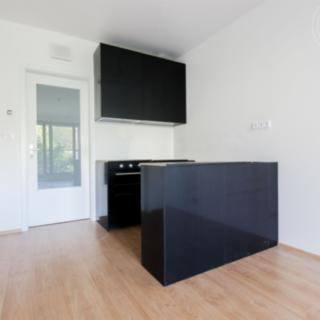 Pronájem bytu 1+kk, garsoniery 30 m² Brno