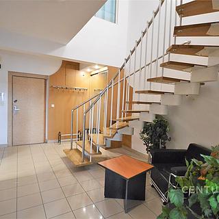 Pronájem bytu 5+1 a více 230 m² Brno