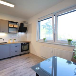 Prodej bytu 1+kk a garsoniéry 33 m² Žarošice