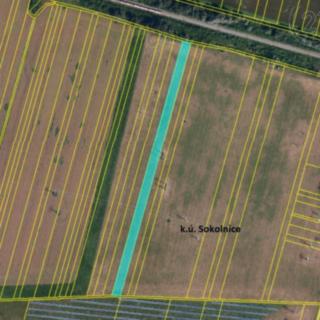 Prodej zemědělské půdy 6 587 m² Sokolnice