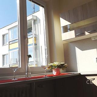 Pronájem bytu 3+1, 72m²