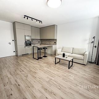 Pronájem bytu 1+kk a garsoniéry 36 m² Svitavy Předměstí, Říční