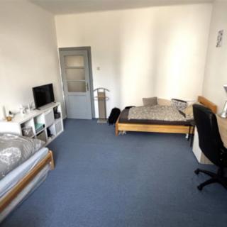 Pronájem bytu 1+1 46 m² Brno