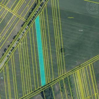 Prodej zemědělské půdy 4498 m² Valtice