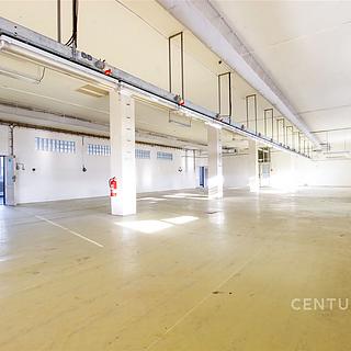 Pronájem Ostatních komerčních prostor 620 m&sup2; Brno