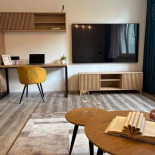 Pronájem bytu 1+kk, garsoniery 33 m² Brno