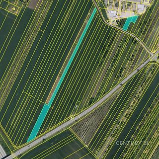 Prodej zemědělské půdy 12372 m² Velké Pavlovice