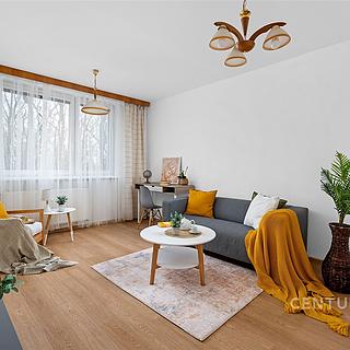 Prodej bytu 2+1 57 m&sup2; Brno