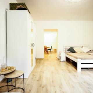 Pronájem bytu 1+1 40 m² Brno