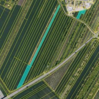 Prodej zemědělské půdy 13363 m² Velké Pavlovice