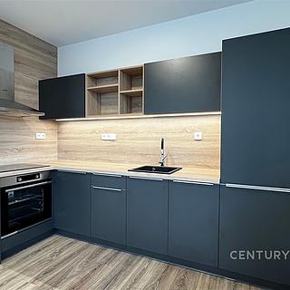 Pronájem bytu 3+kk 65 m² Brno