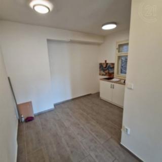 Pronájem bytu 1+1 50 m² Brno
