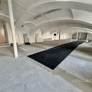 Pronájem obchodu 256 m&sup2; Brno