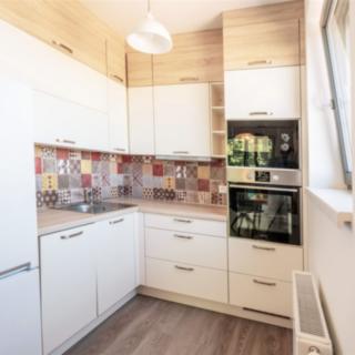 Prodej bytu 1+kk a garsoniéry 43 m² Kobylnice, U Splavu