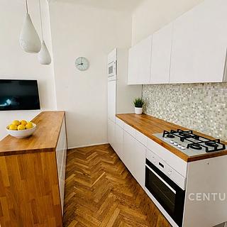 Pronájem bytu 4+kk 90 m² Brno Veveří, Sušilova