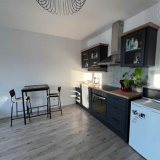 Pronájem bytu 1+kk a garsoniéry 36 m² Svitavy, Říční