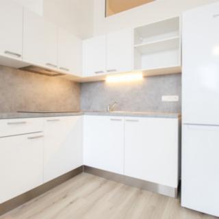 Pronájem bytu 2+kk 45 m² Brno Židenice, Gajdošova