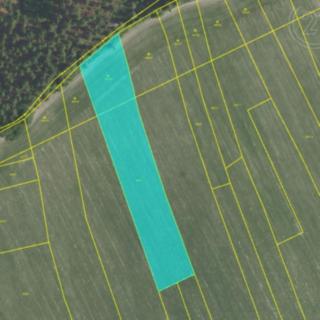 Prodej zemědělské půdy 5934 m² Obecnice