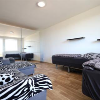 Pronájem bytu 1+1 45 m² Brno