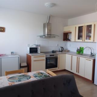 Pronájem bytu 1+kk a garsoniéry 35 m² Nížkovice