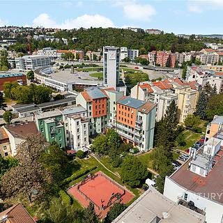 Prodej bytu 1+kk a garsoniéry 38 m² Brno, Křížkovského