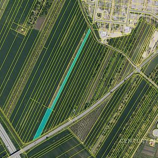 Prodej zemědělské půdy 12 372 m² Velké Pavlovice