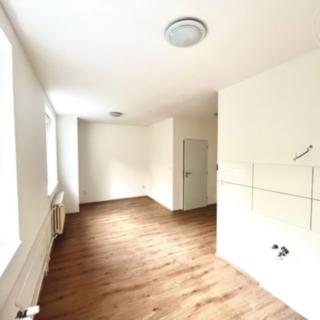 Prodej bytu 1+kk, garsoniery 28 m² Nížkovice