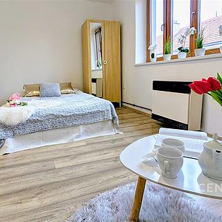 Pronájem bytu 1+1 33 m² Brno