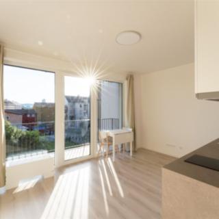 Pronájem bytu 1+kk a garsoniéry 29 m² Brno, Dornych