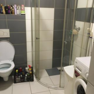 Pronájem bytu 1+1 32 m² Opava Předměstí, Rybářská