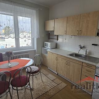 Pronájem bytu 2+1 60 m² Opava Předměstí, Otická