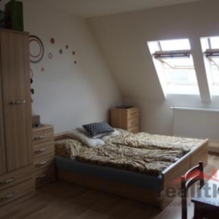 Pronájem bytu 1+kk a garsoniéry 30 m² Opava Předměstí, Olbrichova